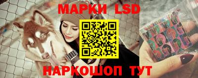 мдпв Бийск