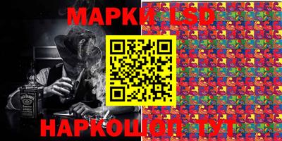 мдпв Бийск
