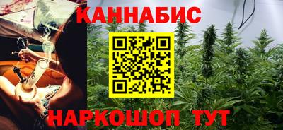 мдпв Бийск